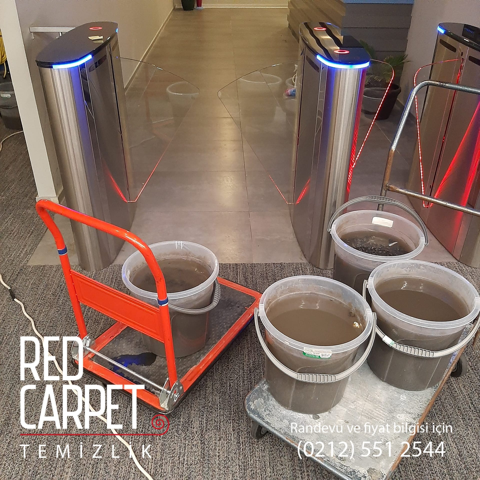 Red Carpet Temizlik’in Yerinde Halı Yıkama Hizmetine Genel Bakış